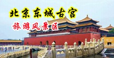 欧美69网站男女性爱激情视频直播中国北京-东城古宫旅游风景区